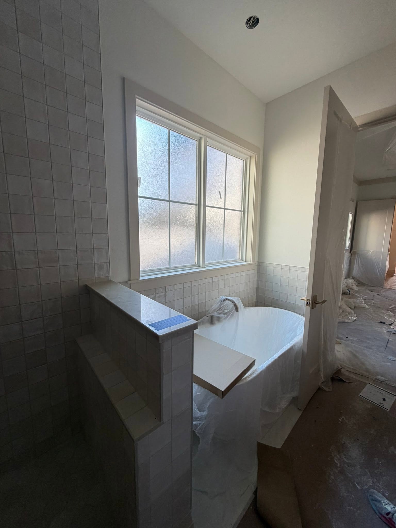 Before — bathroom pre-clean during renovation